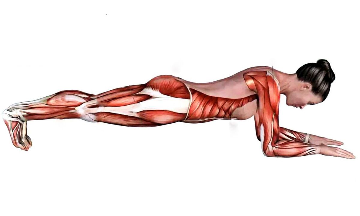 Quels muscles travaillent pendant la planche